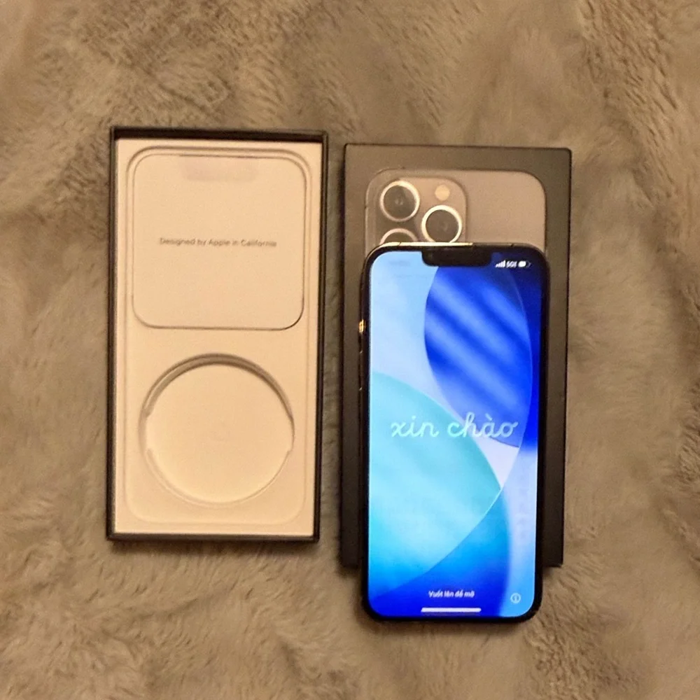 UNLOCKED/RESET Apple iPhone 13 Pro - Graphite 258gb